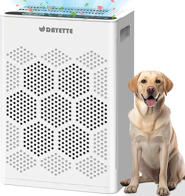 Luftreiniger Allergiker, H14 HEPA Filter gegen Staub, Pollen & Tierhaare — Luftbefeuchter