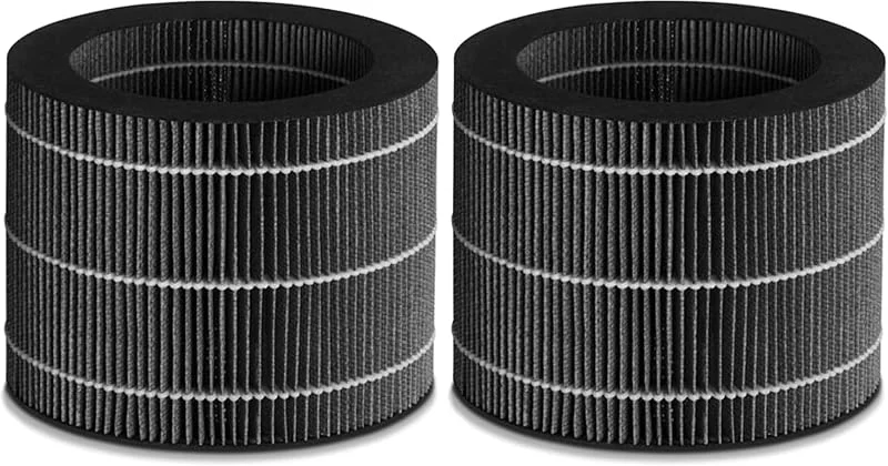 Beurer LB 200, LB 300 Plus Filter-Nachkaufset, Verdunstungsfilter, Ersatzfilter für die Beurer Luftbefeuchter LB 200 und LB 300 Plus (Packung mit 2)
